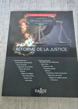 Réforme de la justice 2019 Dalloz Grand Angle Laurent Dargent Royer droit pénal