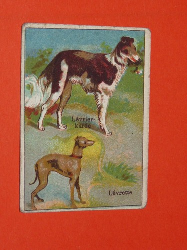 Chromo 1900 1925 chocolat - chromo,