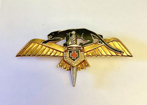 Insigne air 2ème escadre - insigne,