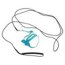  Harnais Perroquet Laisse D'entraînement Des Oiseaux Accessoire D'oiseau