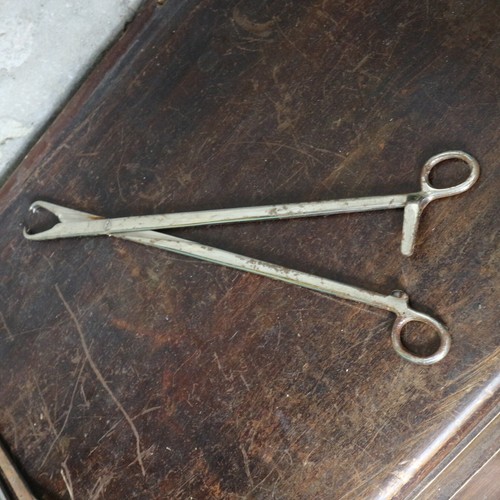 Ancien outil veterinaire - ancien,
