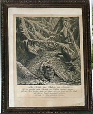 Gravure 18ème Ours Die Höhle einer Boehrin mit Jungen Ridinger 