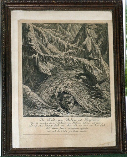 Gravure 18ème ours - gravure, höhle
