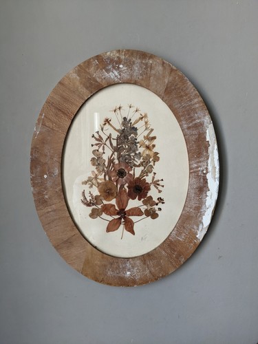 Cadre ovale ancien herbier - cadre,