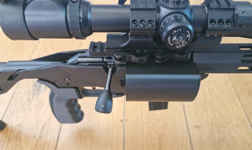 Ruger rimfire precision - rimfire,