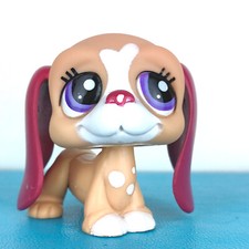 Authentic littlest pet - authentic, shop