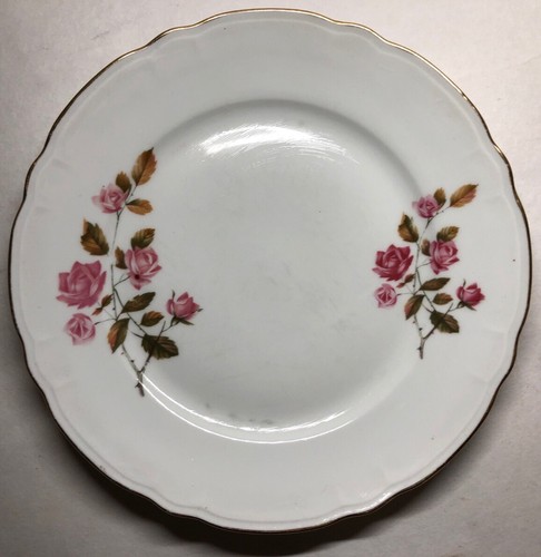 Lot6 assiettes plates en - 4,