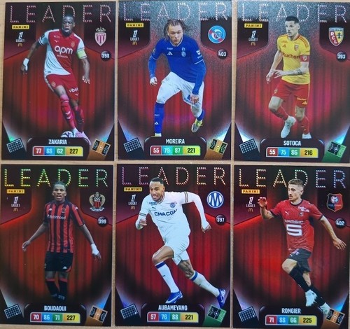 Lot cartes adrenalyn - cartes,