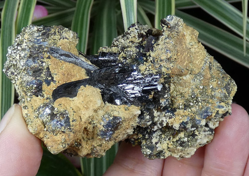 Wolframite chalcopyrite à - wolframite, &