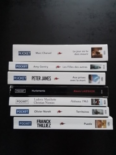 Lot livres pocket polar - livres,