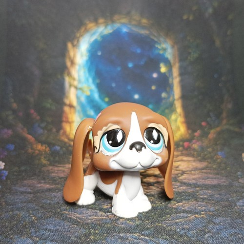 Chien basset hound - chien, #502