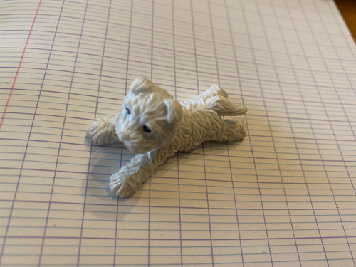 Petit chien puppy dog - puppy,