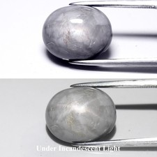 💎 8,98 ct 13,5 x 11 mm