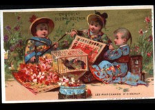 Image chromo chocolat guerin - image,