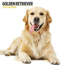 Golden Retriever Calendrier