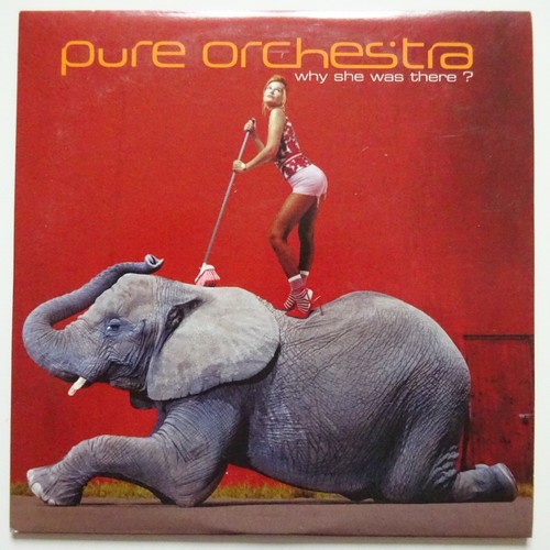 Pure orchestra why she - orchestra,
