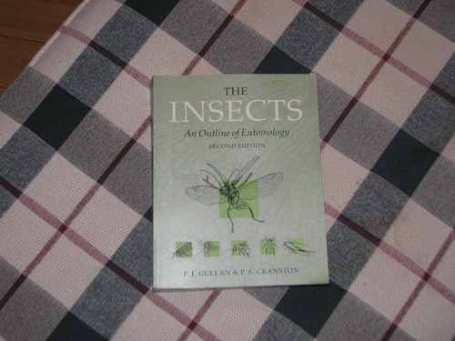 The insects outline - insects:, an