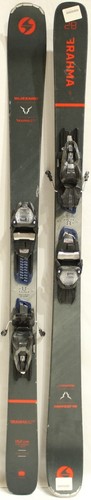 Blizzard brahma adult - sp,