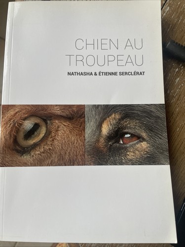Chien troupeau - au,