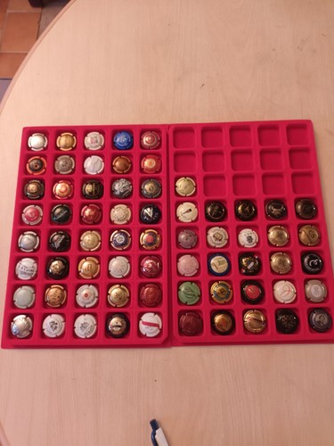 Lot capsules muselets de - capsules,
