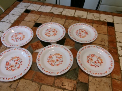 Lot assiettes a dessert - 6,