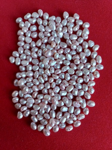 Lot perles naturelles eau - perles, d