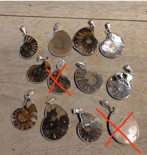 Pendentif ammonite fossile