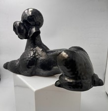 Caniche royal assis en