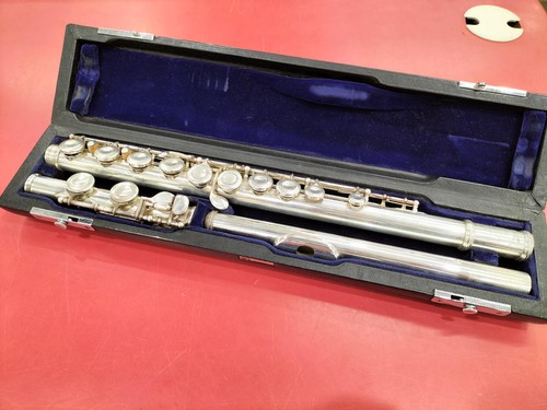 Flute model standard - standard, cc