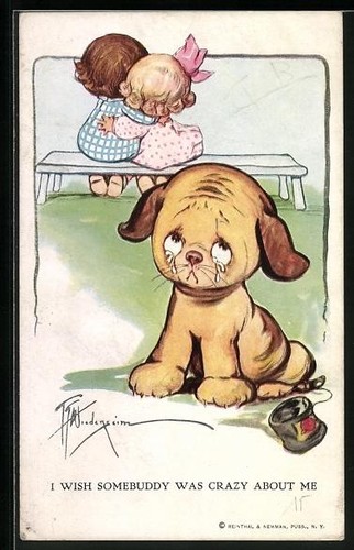 Carte postale chien solitaire