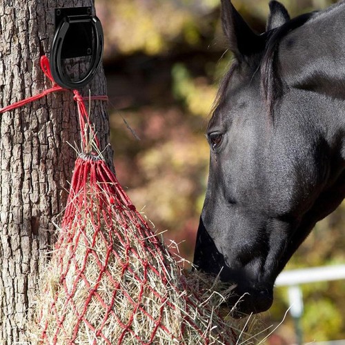 Attaches pour chevaux avec vis - attaches,