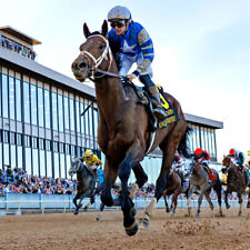 METHODE de TURF: COUPLES CASH de Sciences & Jeux (Couplé Gagnant) (Egra, Courses