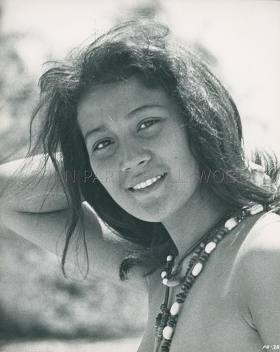 Ratna assan papillon - ratna,