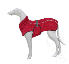 Manteau chien type Lévrier