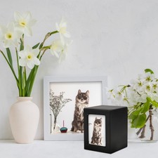  Urne Chien Pour Cendres