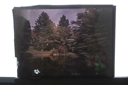 Autochrome parc avec plan - (b),