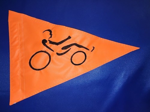 Custom recumbent rider safety - rider,