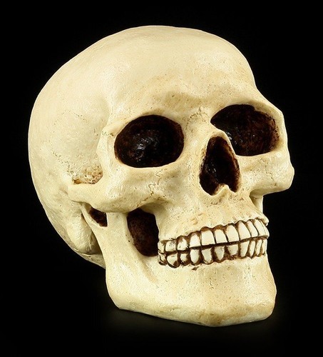 Tête mort tirelire gens - tête,