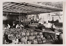 Photographie originale vendanges en Bourgogne vers 1940 le pressage les paniers