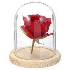 Dôme en verre pour cloche