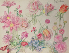 ANCIENNE PLANCHE DE DESSINS ORIGINAUX ETUDES DE FLEURS BOTANIQUES SIGNEE (6)