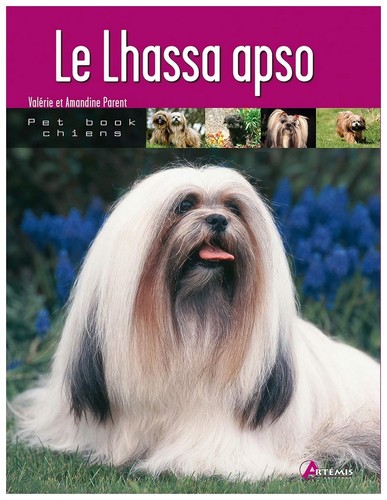 Lhassa apso - lhassa,