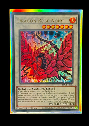 Carte lds2 fr110 - carte, yu-gi-oh