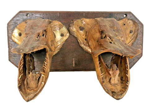 Porte manteau taxidermie - manteau,