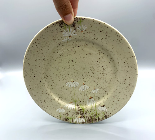 Jolie assiette grès - assiette,