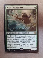 MTG Aînée