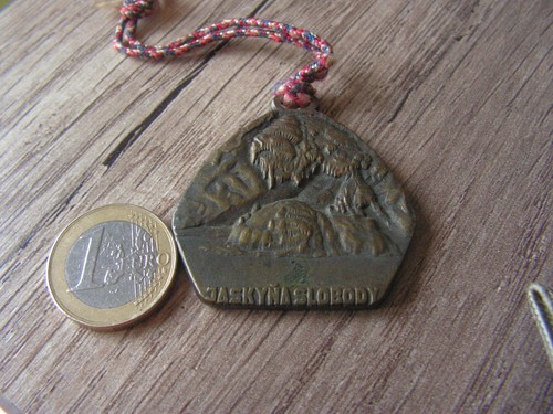 Medaille insigne ski - insigne,