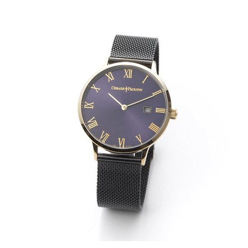 Montre cesare paciotti homme - montre,