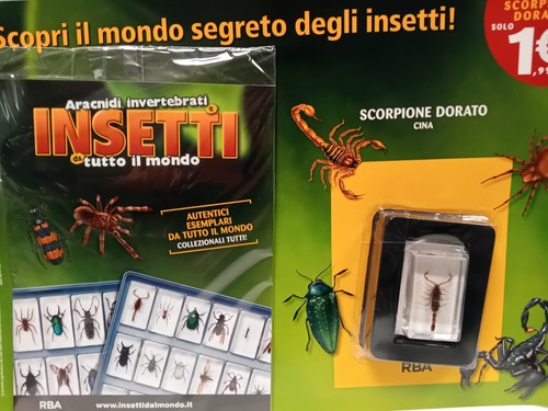 Scorpione doré chine - doré,