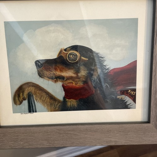Gordon setter limited edition - setter,